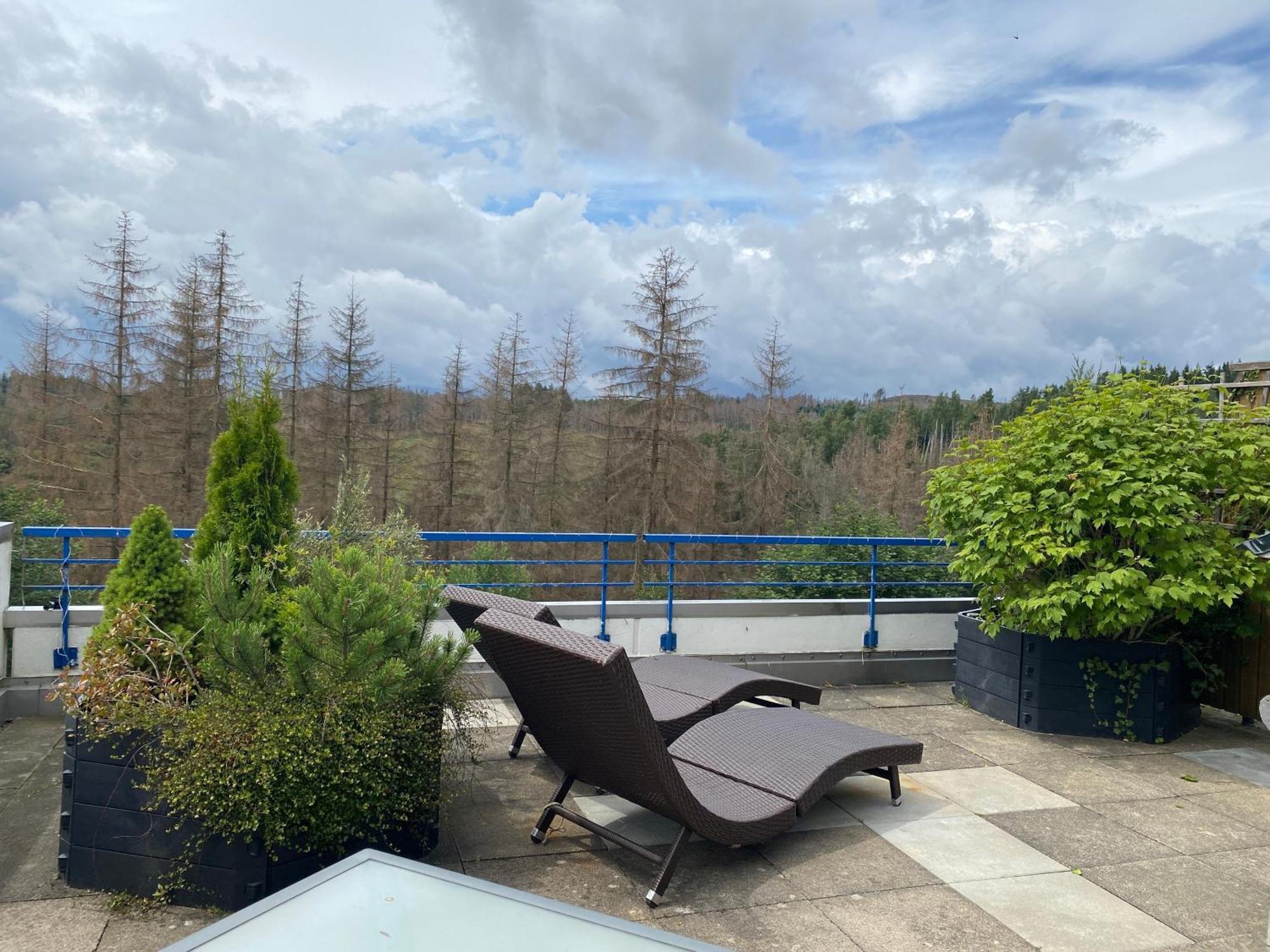 Ferienwohnung Harz #3, Pool, Sauna, Wlan Hohegeiss Bagian luar foto